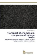 Transport phenomena in complex multi-phase media