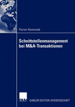Schnittstellenmanagement bei M&A-transaktionen