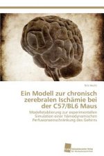 Modell zur chronisch zerebralen Ischamie bei der C57/BL6 Maus