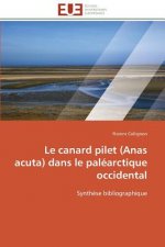 Le Canard Pilet (Anas Acuta) Dans Le Pal arctique Occidental