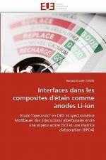 Interfaces Dans Les Composites d'' tain Comme Anodes Li-Ion