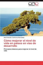 Como mejorar el nivel de vida en paises en vias de desarrollo