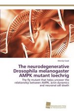 neurodegenerative Drosophila melanogaster AMPK mutant loechrig