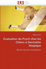 valuation Du Prurit Chez Les Chiens   Dermatite Atopique