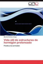 Vida util de estructuras de hormigon pretensado