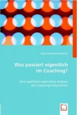 Was passiert eigentlich im Coaching?
