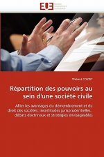 Repartition des pouvoirs au sein d'une societe civile