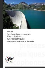 Gestion d'Un Ensemble d'Installations Hydroelectriques