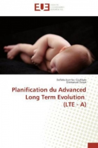 Planification du Advanced Long Term Evolution (LTE - A)