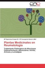 Plantas Medicinales En Reumatologia