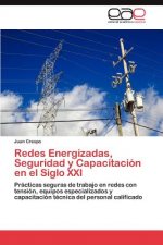 Redes Energizadas, Seguridad y Capacitacion En El Siglo XXI