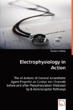 Electrophysiology in Action