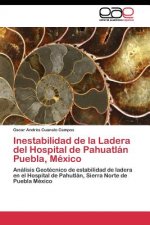 Inestabilidad de la Ladera del Hospital de Pahuatlan Puebla, Mexico