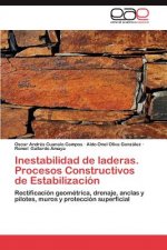 Inestabilidad de Laderas. Procesos Constructivos de Estabilizacion