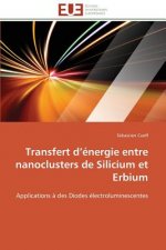 Transfert D  nergie Entre Nanoclusters de Silicium Et Erbium