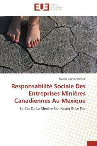 Responsabilité Sociale Des Entreprises Minières Canadiennes Au Mexique