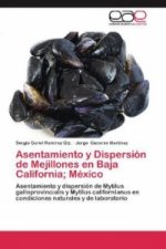 Asentamiento y Dispersión de Mejillones en Baja California; México
