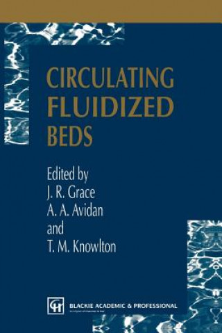 Circulating Fluidized Beds