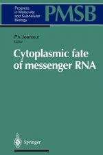 Cytoplasmic fate of messenger RNA