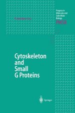 Cytoskeleton and Small G Proteins