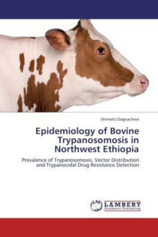 Epidemiology of Bovine Trypanosomosis in Northwest Ethiopia