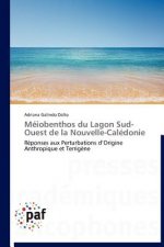 Meiobenthos Du Lagon Sud-Ouest de la Nouvelle-Caledonie