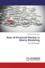 Role of Financial Market in Macro Modeling