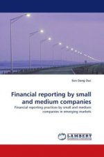 Financial reporting by small and medium companies