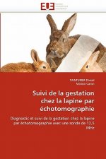 Suivi de la Gestation Chez La Lapine Par  chotomographie