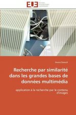 Recherche Par Similarit  Dans Les Grandes Bases de Donn es Multim dia