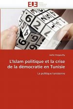 L''islam politique et la crise de la democratie en tunisie