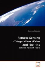 Remote Sensing of Vegetation Water and Fire Risk