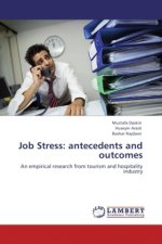 Job Stress: antecedents and outcomes