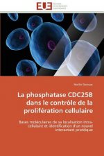 Phosphatase Cdc25b Dans Le Contr le de la Prolif ration Cellulaire