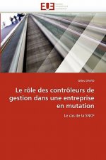 role des controleurs de gestion dans une entreprise en mutation