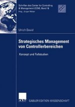 Strategisches Management von Controllerbereichen