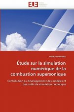 tude Sur La Simulation Num rique de la Combustion Supersonique
