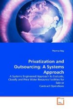 Privatization and Outsourcing: A Systems Approach