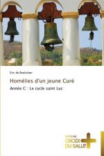 Homelies d'un jeune cure