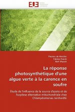 R ponse Photosynth tique d''une Algue Verte   La Carence En Soufre