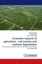 Economic impacts of agriculture - soil erosion and wetland degradation