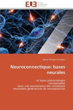Neuroconnectique: Bases Neurales