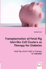 Transplantation of Fetal Pig Islet-like Cell Clusters as Therapy for Diabetes