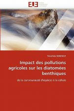 Impact des pollutions agricoles sur les diatomees benthiques