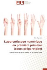 L'apprentissage numerique en premiere primaire (cours preparatoire)