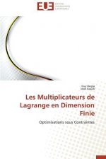Les Multiplicateurs de Lagrange En Dimension Finie