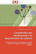 Contribution Des Reboisements   La S questration de Carbone