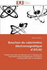 Bouchon Du Calorim tre  lectromagn tique D Atlas