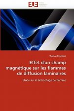 Effet d''un champ magnetique sur les flammes de diffusion laminaires