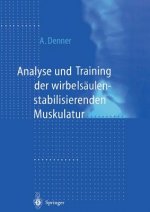 Analyse Und Training Der Wirbelsaulenstabilisierenden Muskulatur
